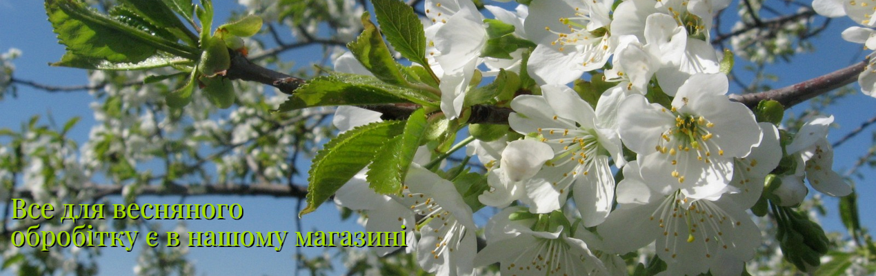 Весняний захист саду
