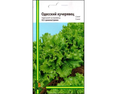 Салат Одеський кучерявець, 0,5 г Салат Одеський кучерявець, 0,5 г