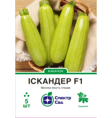 Кабачок Іскандер F1, 5 шт