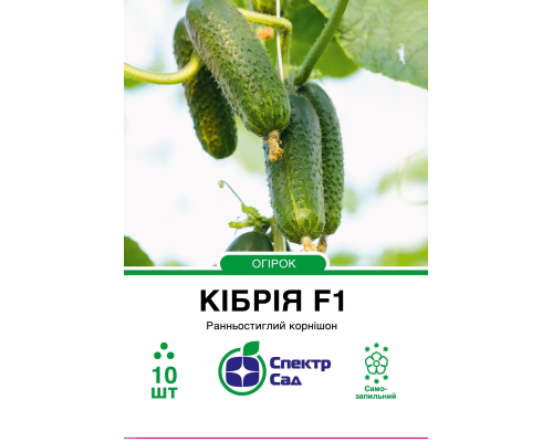 Огірок Кібрія F1, 10 шт Огірок Кібрія F1, 10 шт