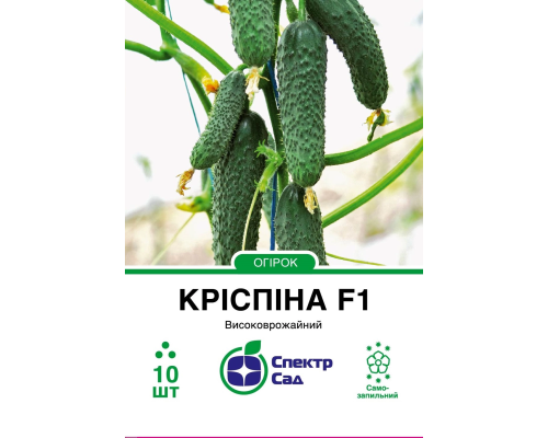 Огірок Кріспіна F1, 10 шт Огірок Кріспіна F1, 10 шт